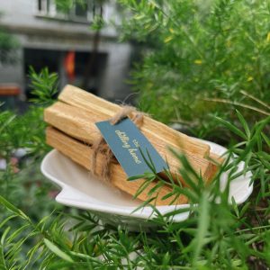 Palo Santo và 5 bí mật về gỗ Thánh sẽ khiến bạn ngạc nhiên