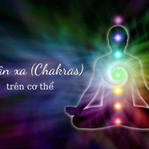 Luân xa (Chakra) là gì? Tìm hiểu về 7 luân xa (Chakras) trên cơ thể