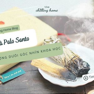 Sage và Palo Santo – Năng lượng kỳ diệu dưới góc nhìn khoa học