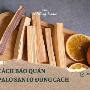 Cách bảo quản Palo Santo (Gỗ trắc xanh) giữ mùi hương & cháy tốt hơn